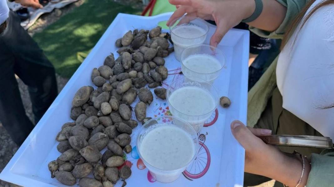 Yüksekova alternatif tarımda rekora koşuyor: Bir yumrudan dört kat ürün çıktı 10